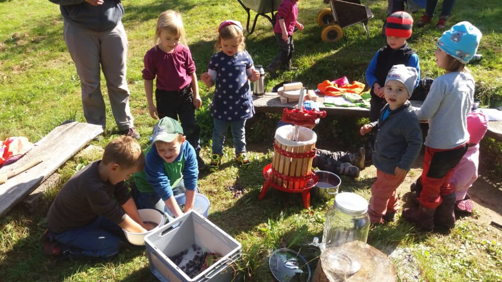 Selbstgemachter Traubensaft