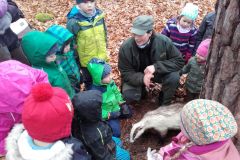 Eine-spannende-Rundreise-und-Tiersuche-im-Wald
